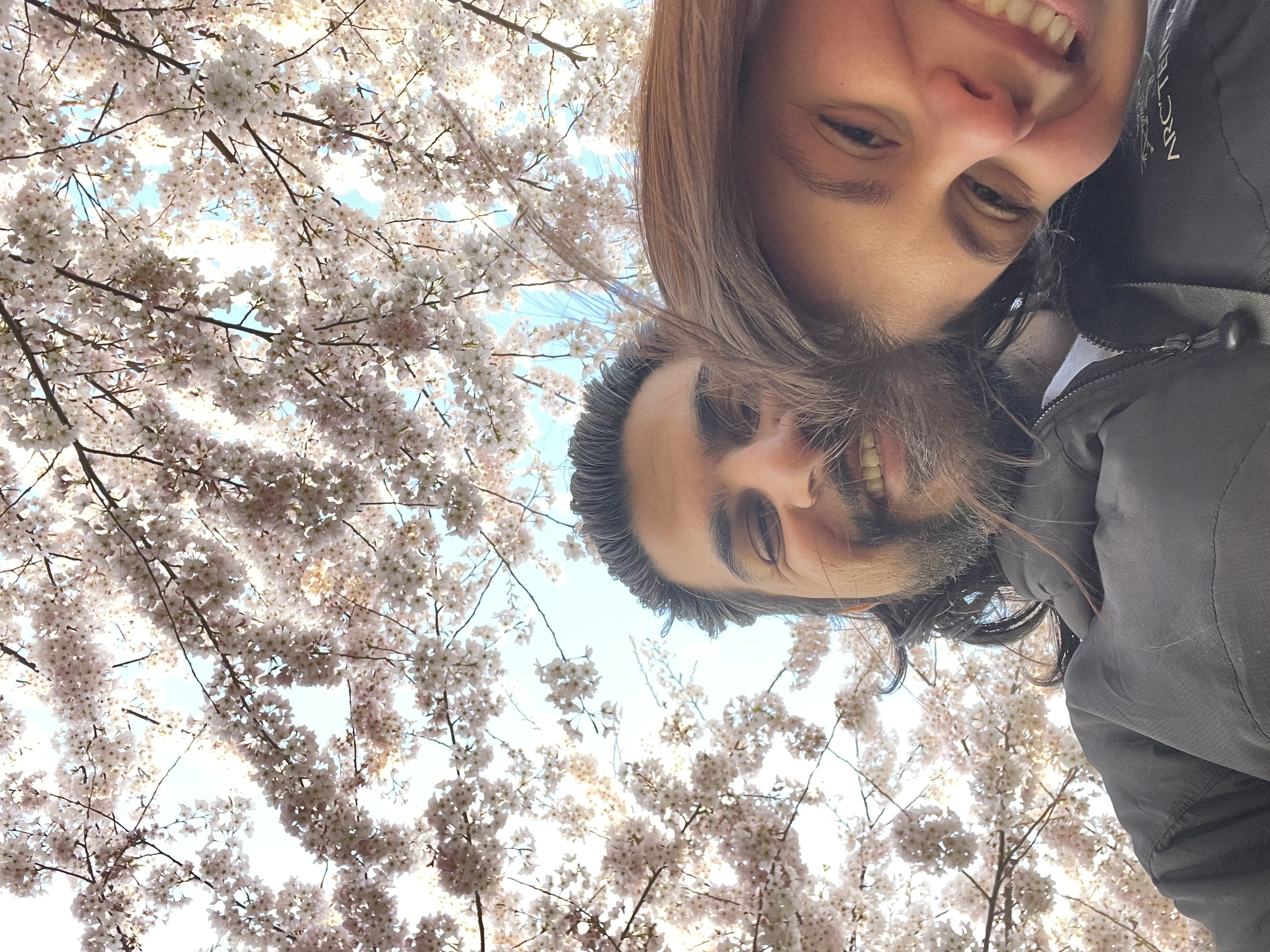 A picture from the gallery