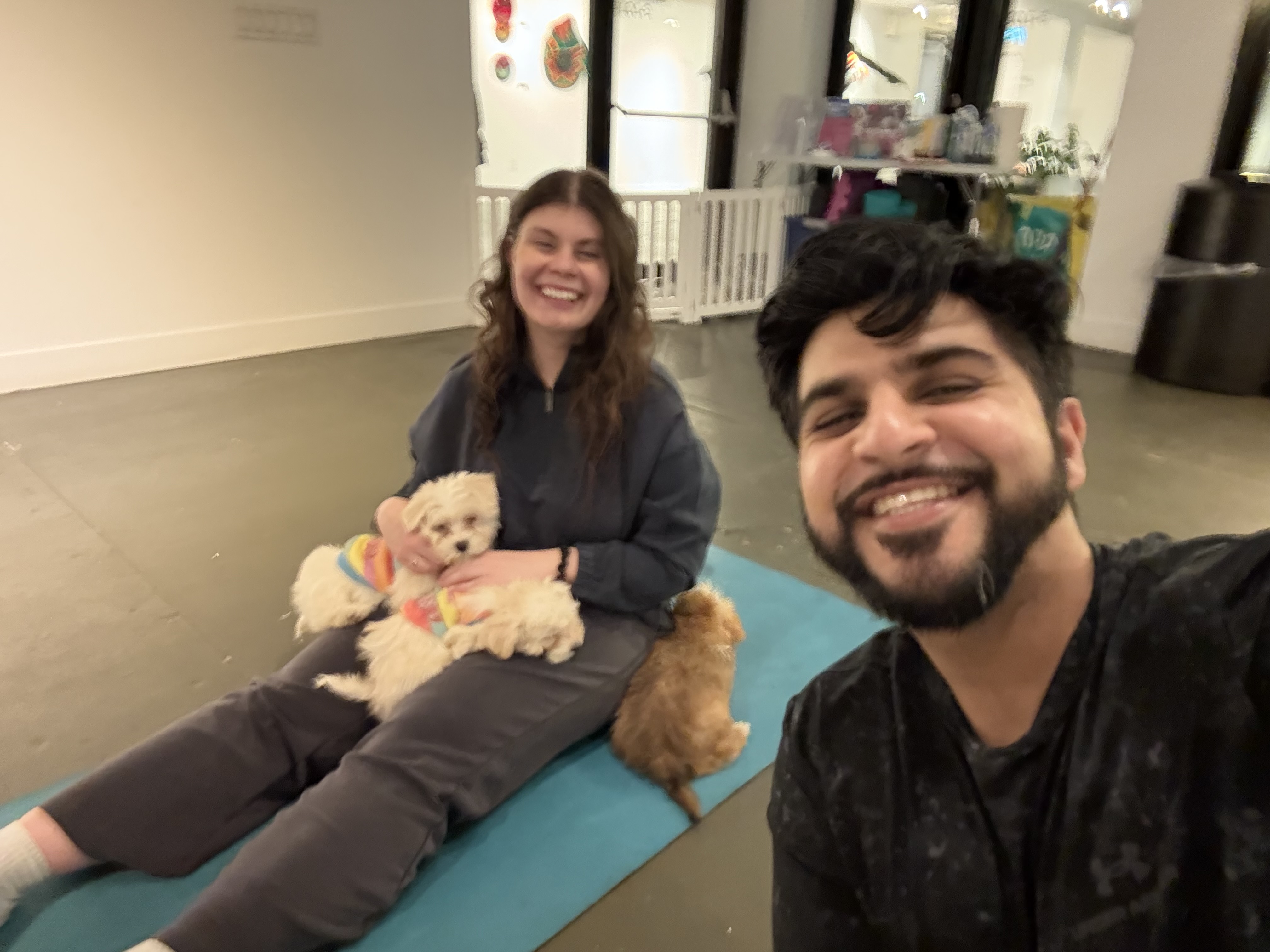 A picture from the gallery