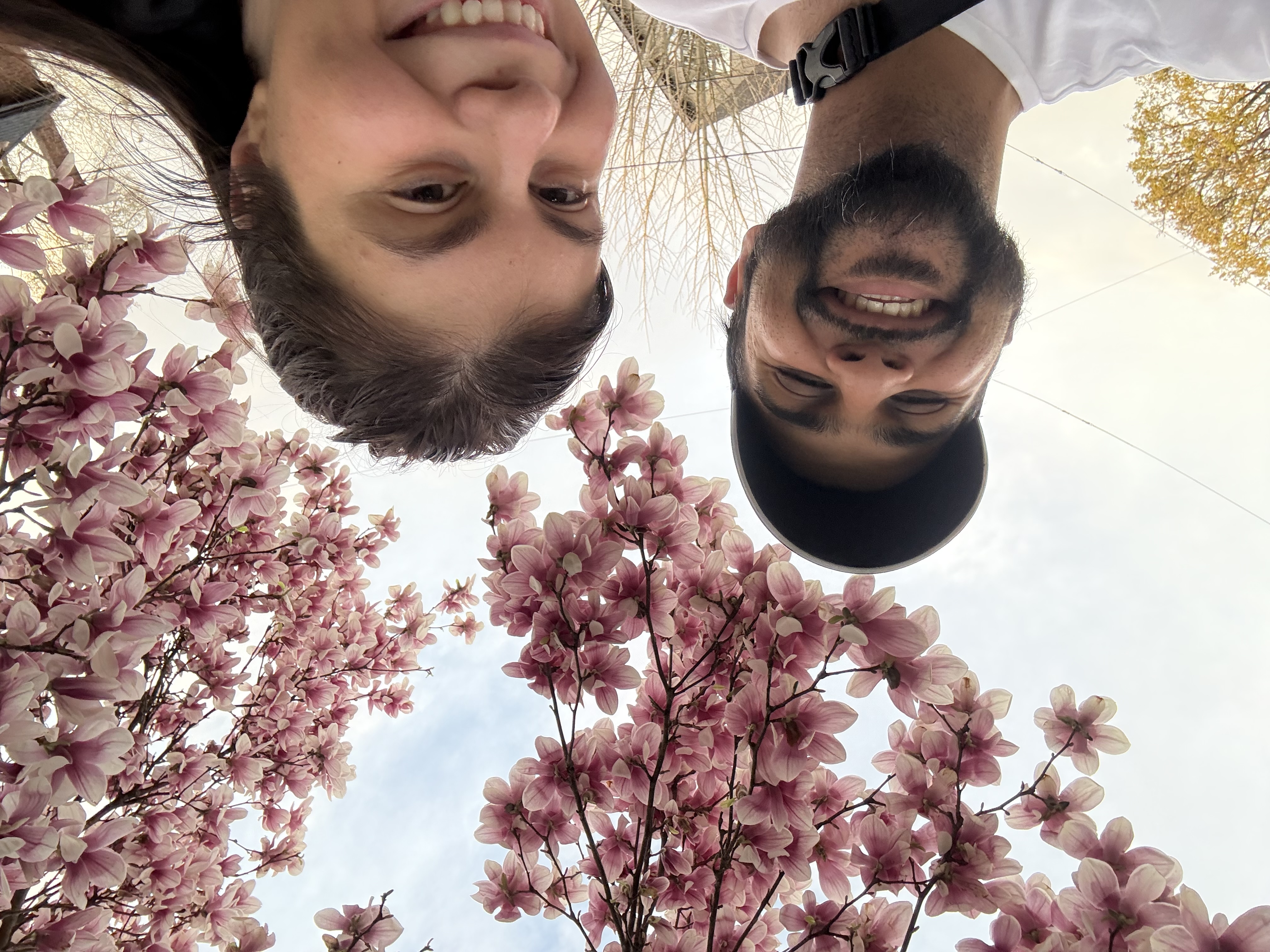 A picture from the gallery